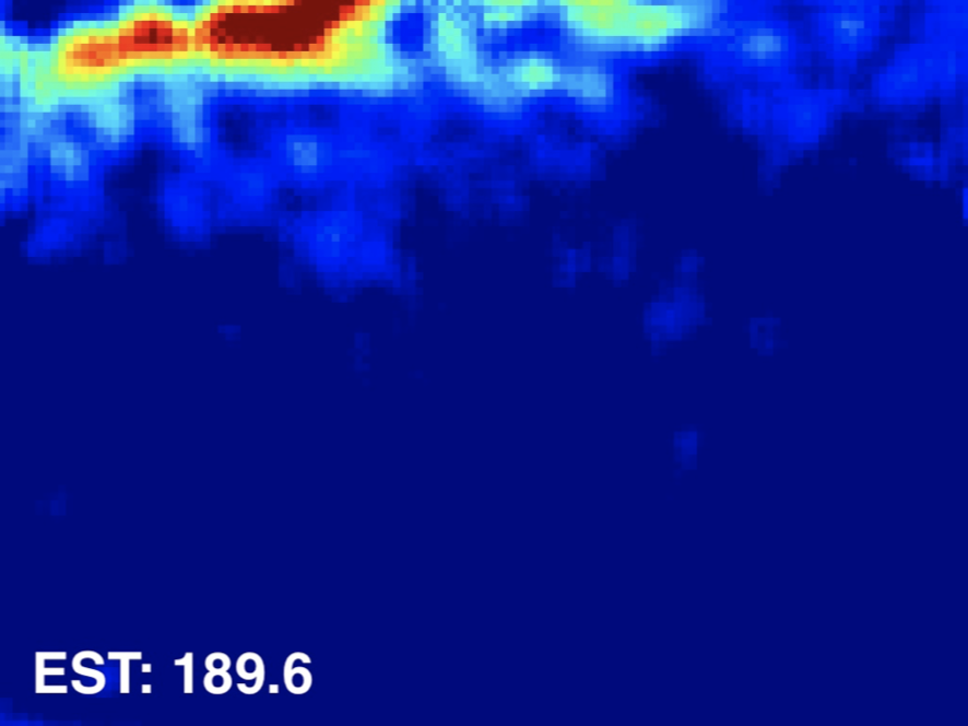 Interpolation end reference image.